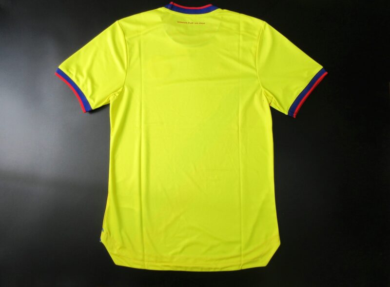 World cup national team jersey (286)